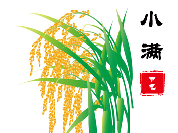 小滿，滿而不損。