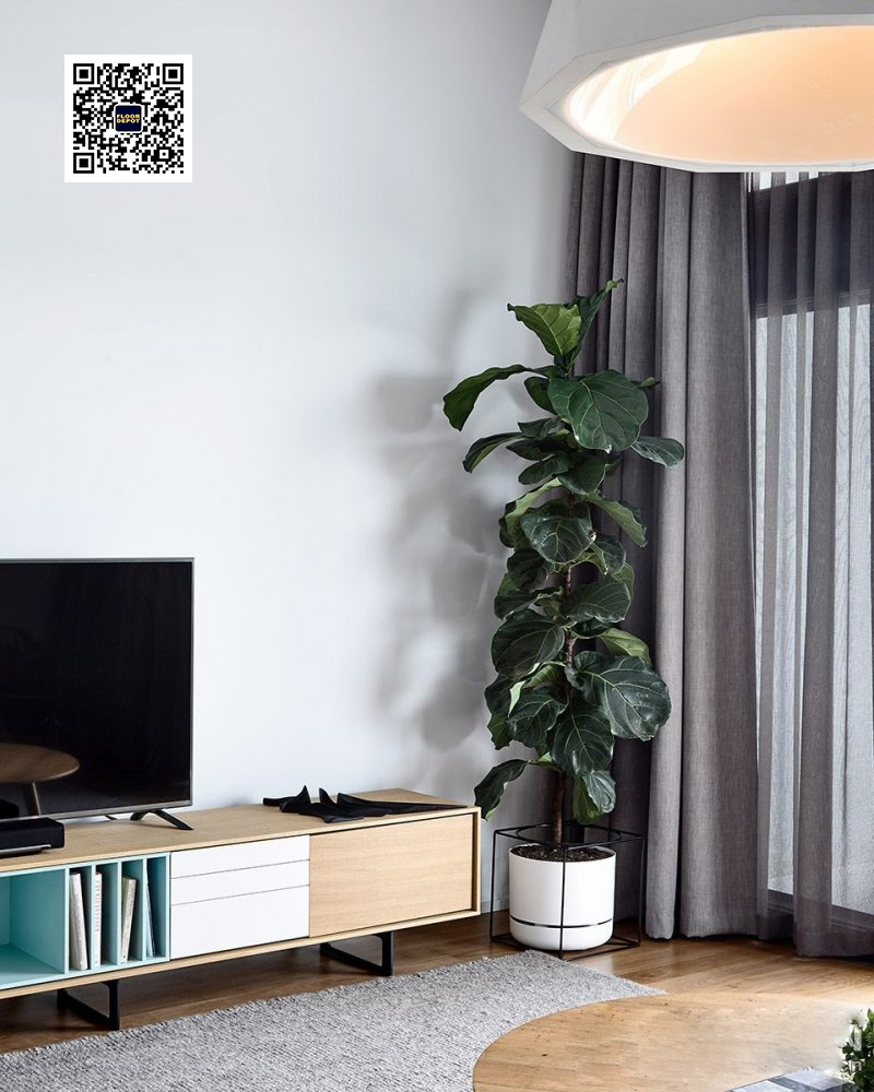 木地板顏色就該這么選，太贊了！