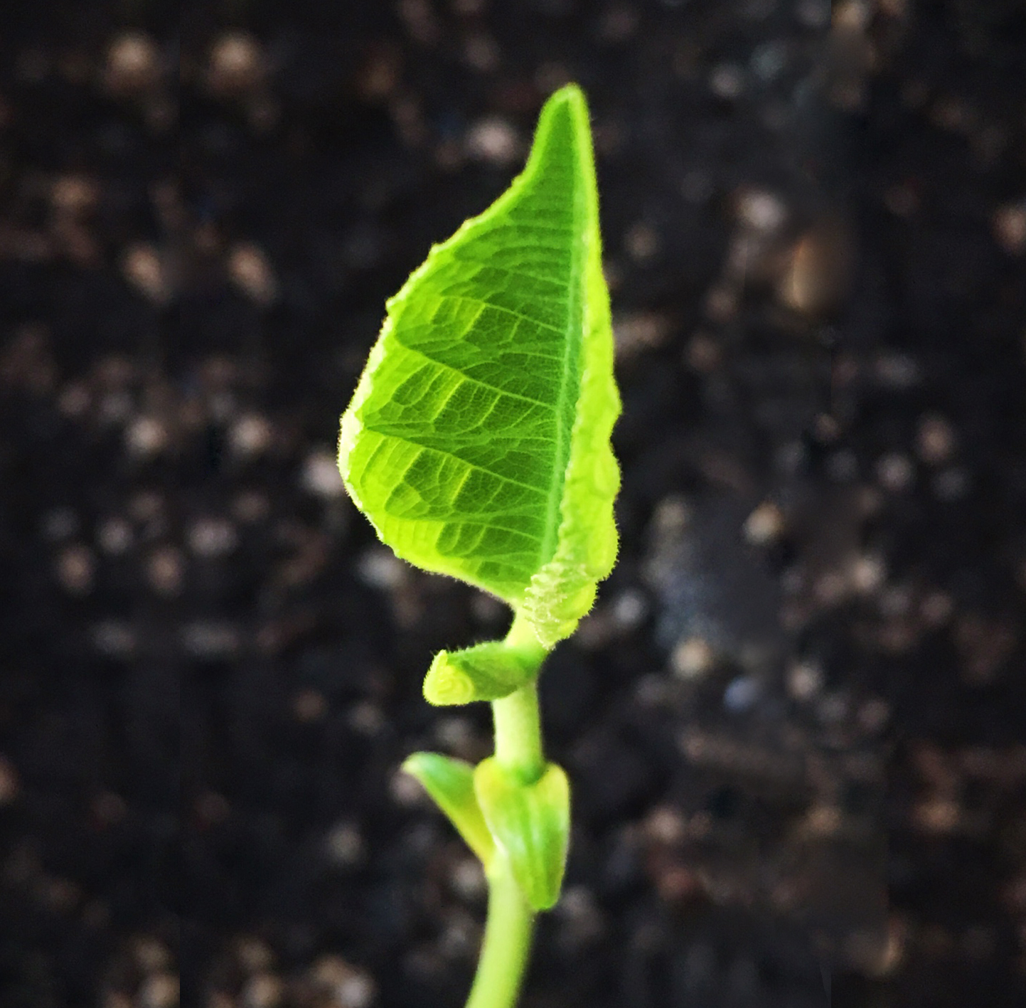 見識比知識更重要