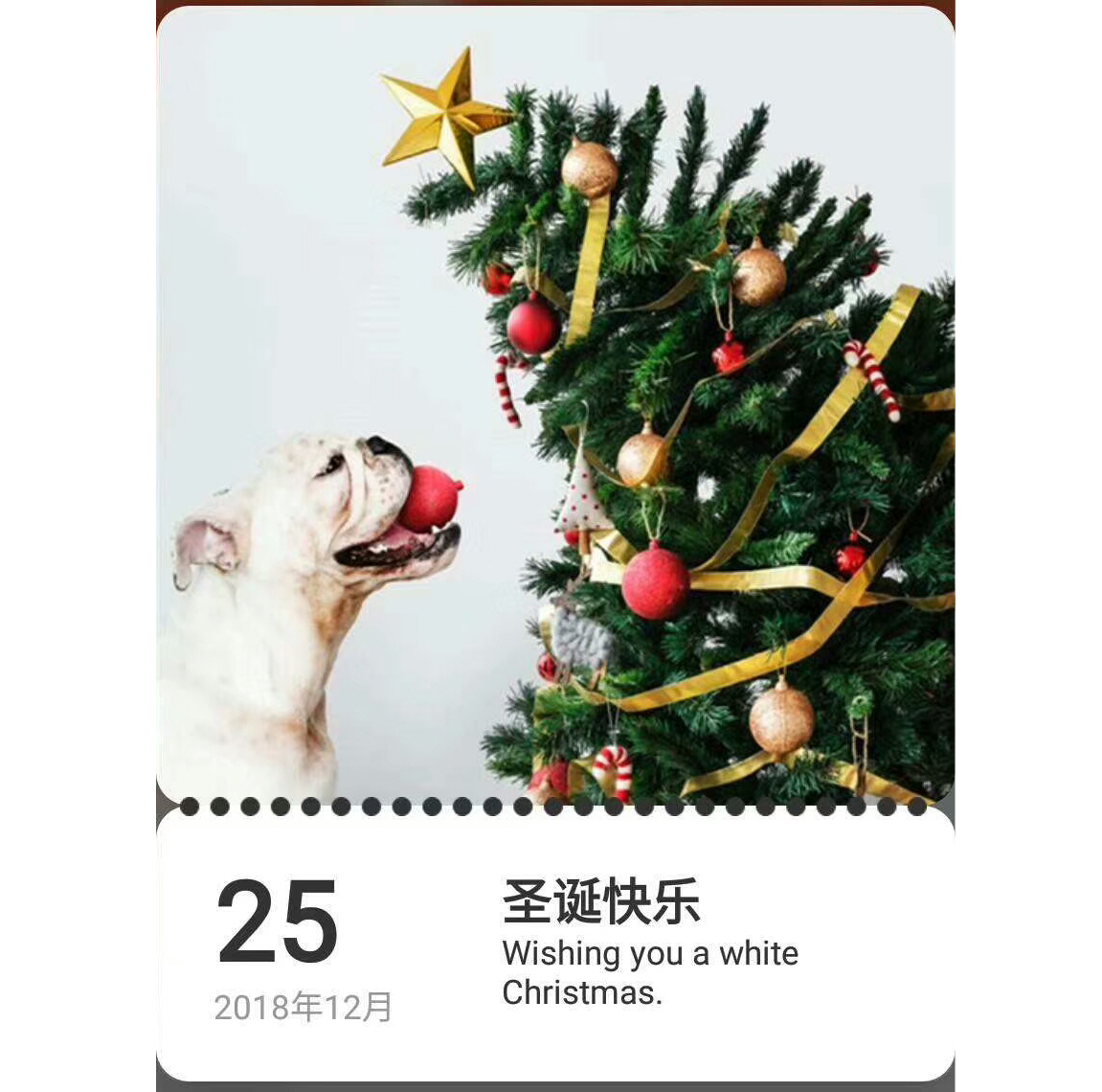 圣誕節來到，地多寶祝：圣誕快樂！